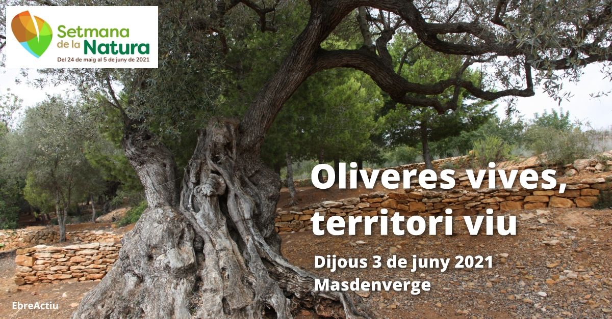 Setmana de la Natura: Oliveres Vives, territori viu