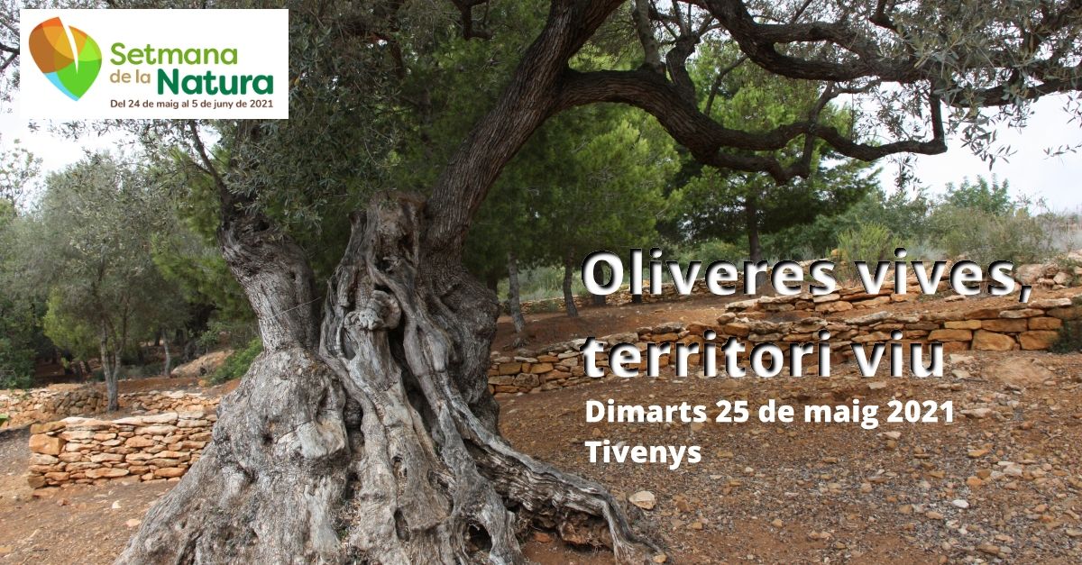 Setmana de la Natura: Oliveres Vives, territori viu