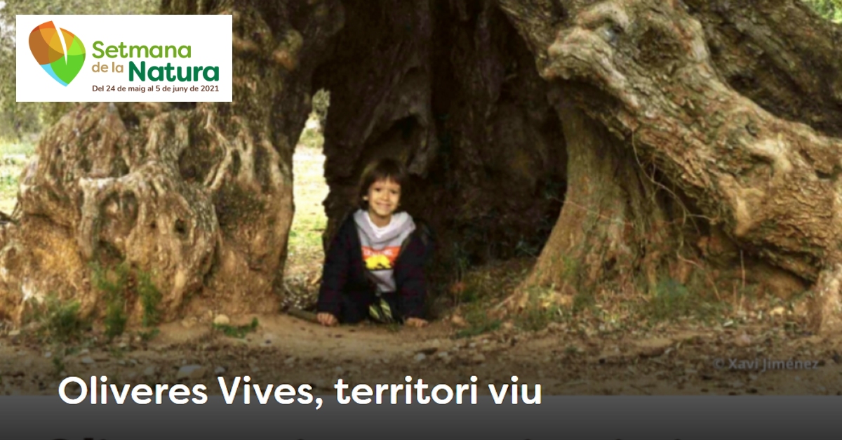 Oliveres Vives, territori viu - #SetmanaNatura2021