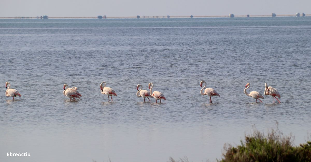 L’ONU escull les Terres de l’Ebre com a primer territori al mn on avaluar la resilincia urbana davant els reptes globals | EbreActiu.cat, revista digital d’oci actiu | Terres de l’Ebre ...