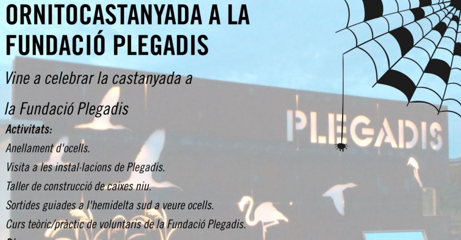 Ornitocastanyada a la Fundaci Plegadis