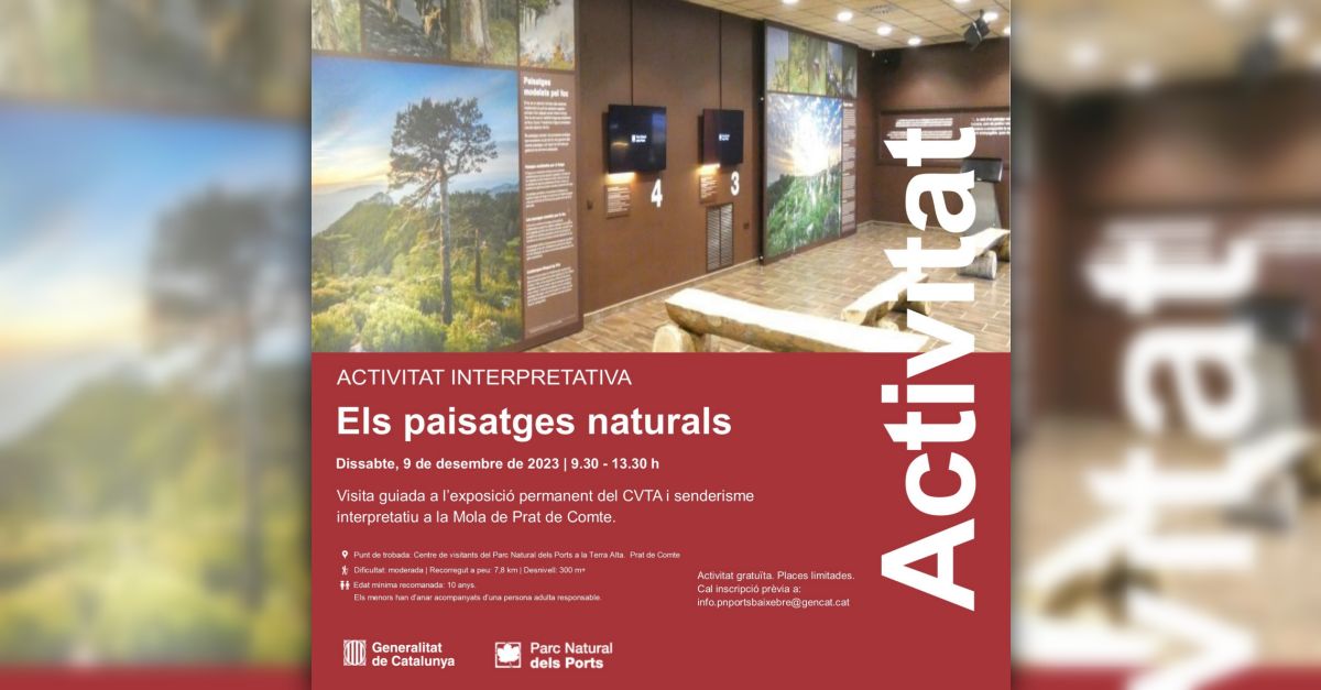 Actividad interpretativa: Los paisajes naturales