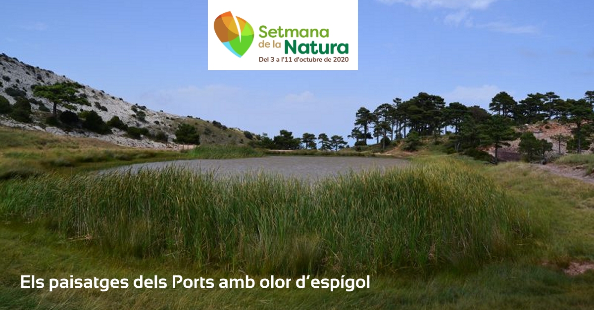 Els paisatges dels Ports amb olor despgol