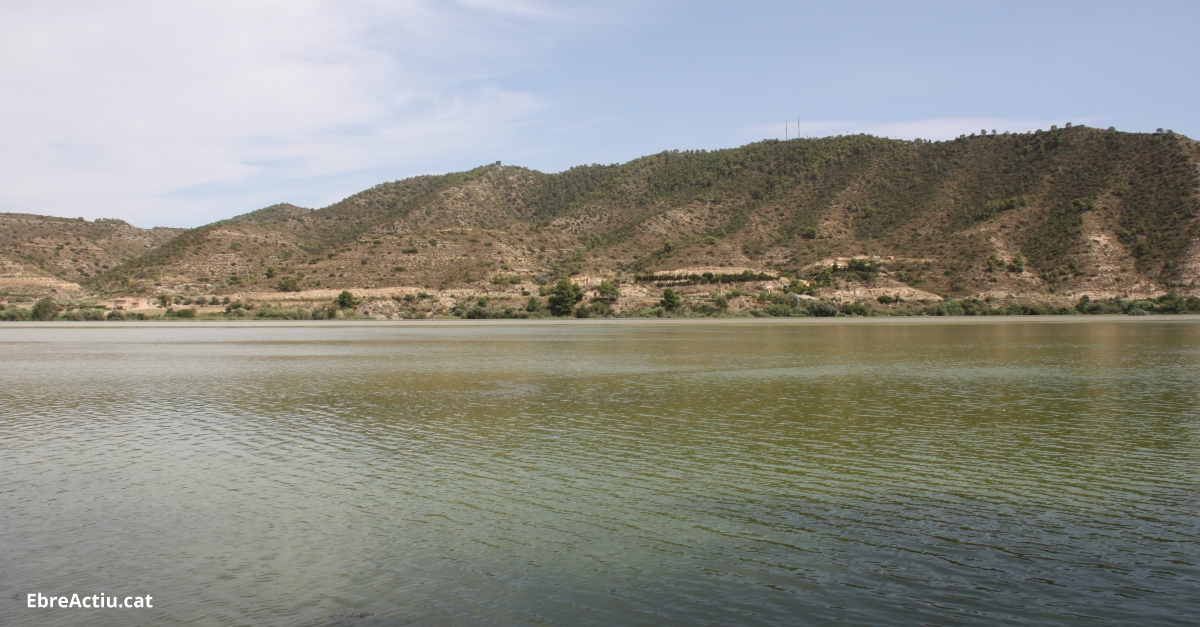 La CHE programa aquest dijous una crescuda al riu Ebre pel control de macrfits al tram final | EbreActiu.cat, revista digital d’oci actiu | Terres de l’Ebre ...