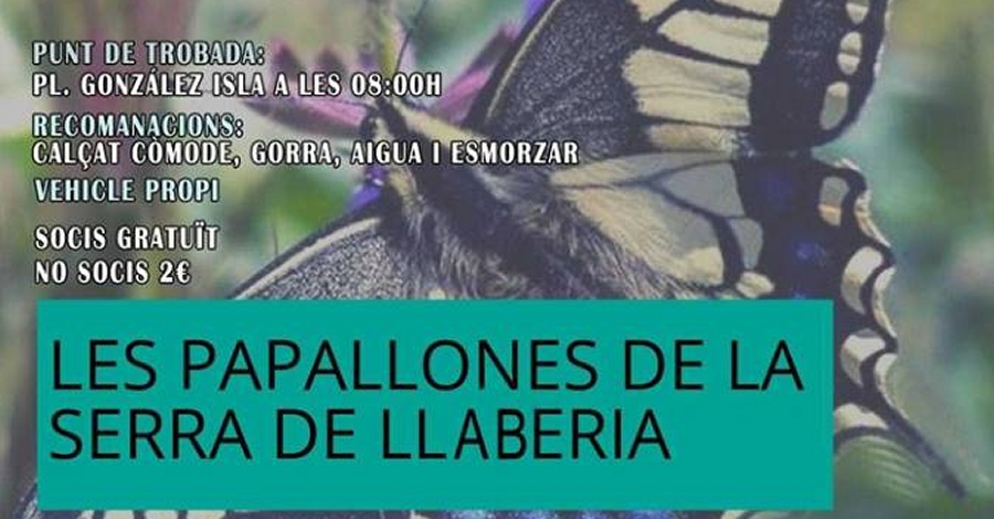 Salida: Las mariposas de la Sierra de Llaberia [APLAZADA]