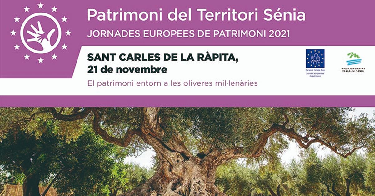 Patrimoni Territori Snia: El patrimoni entorn de les oliveres millenries de la Rpita