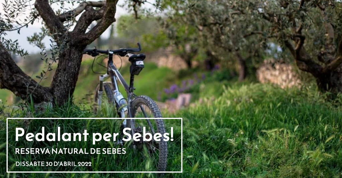 Pedalant per Sebes!