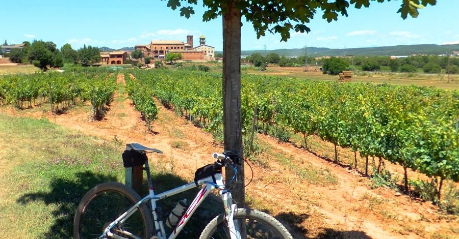 Pedals de Bacus, una ruta per descobrir l’essncia del Pla de Bages | EbreActiu.cat, revista digital d’oci actiu | Terres de l’Ebre ...