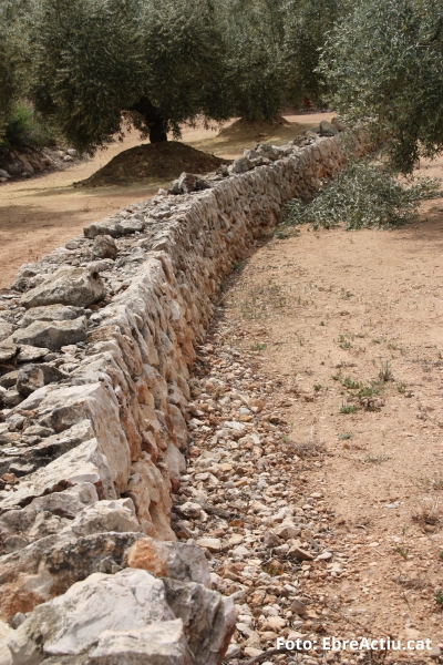 La pedra en sec ja s Patrimoni Cultural Immaterial de la Humanitat | EbreActiu.cat, revista digital d’oci actiu | Terres de l’Ebre ...