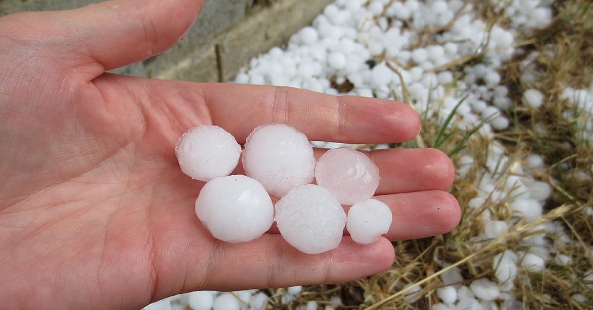 Les tempestes d’aquest cap de setmana danyen conreus de vinya i oliveres a la Terra Alta | EbreActiu.cat, revista digital d’oci actiu | Terres de l’Ebre ...