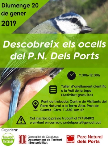 La Fundaci Plegadis programa un taller d’anellament per descobrir els ocells del Parc Natural dels Ports | EbreActiu.cat, revista digital d’oci actiu | Terres de l’Ebre ...