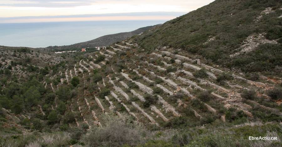 Penscola proposa rutes per les construccions de pedra en sec | EbreActiu.cat, revista digital d’oci actiu | Terres de l’Ebre ...