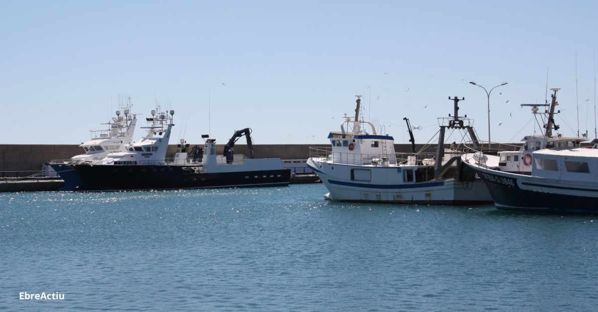 Els pescadors d’encerclament reclamen poder capturar les tonyines que els hi entren a la xarxa | EbreActiu.cat, revista digital d’oci actiu | Terres de l’Ebre ...