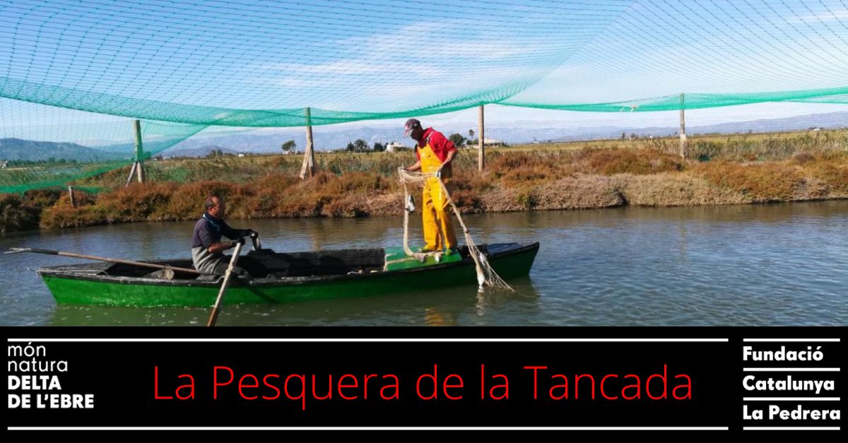 La Pesquera de la Tancada