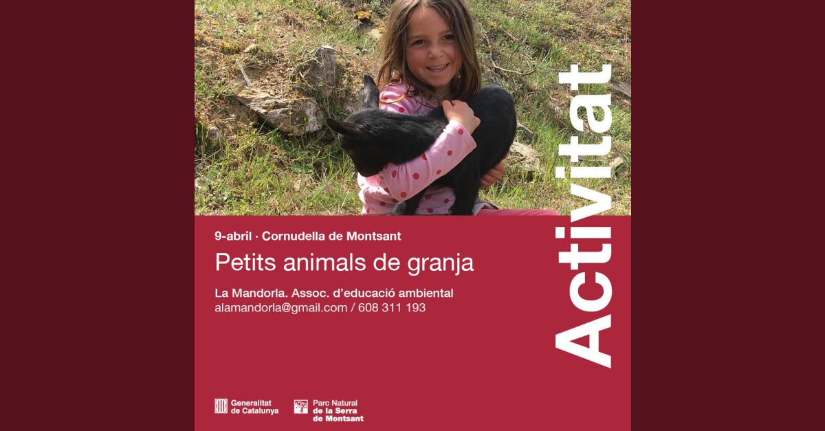 Petits animals de granja