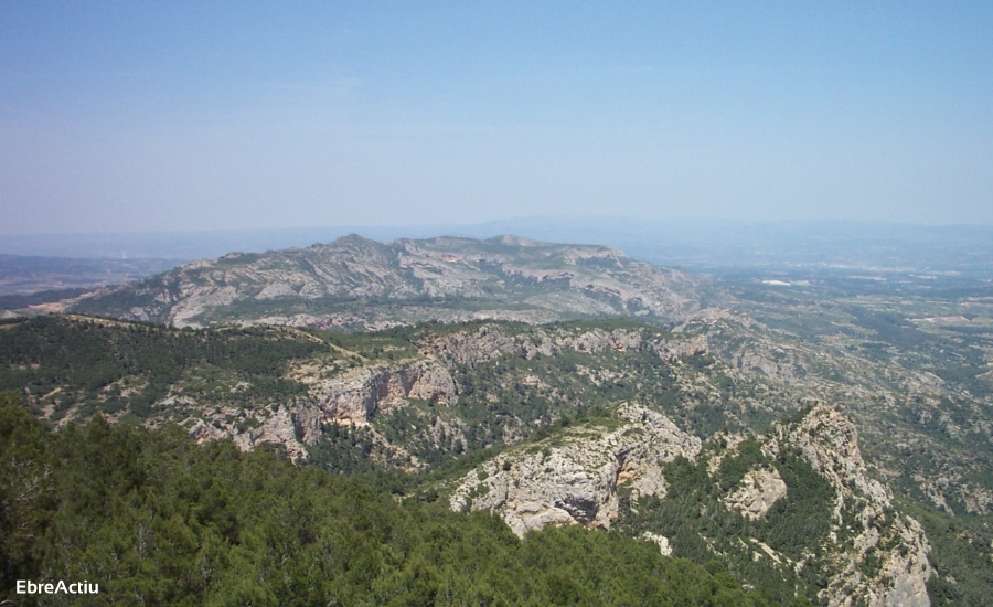 El Pinell de Brai, donde la tierra regala placeres | EbreActiu.cat, revista digital de ocio activo | Terres de l’Ebre...