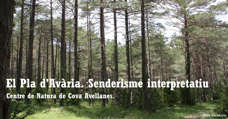 El Pla dAvria. Senderismo interpretativo