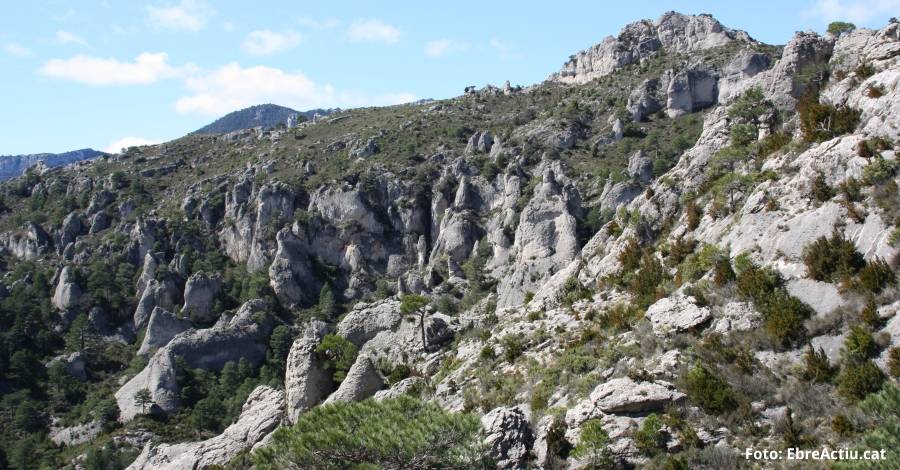 Es posa en marxa l’Estratgia del patrimoni natural i la biodiversitat de Catalunya 2030 | EbreActiu.cat, revista digital d’oci actiu | Terres de l’Ebre ...