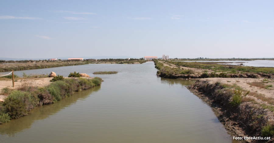 El Govern aprova l’Estratgia del patrimoni natural i la biodiversitat de Catalunya | EbreActiu.cat, revista digital d’oci actiu | Terres de l’Ebre ...