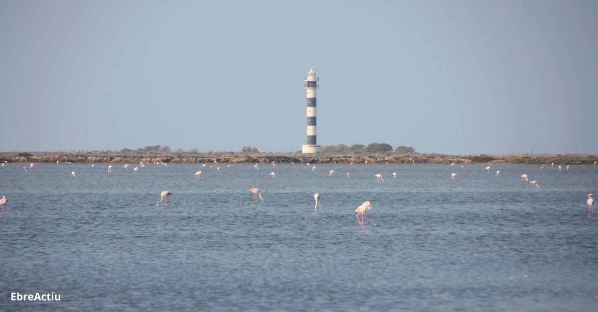 La reserva de la biosfera de les Terres de l’Ebre encarregar un pla de mrqueting per rellanar la marca | EbreActiu.cat, revista digital d’oci actiu | Terres de l’Ebre ...