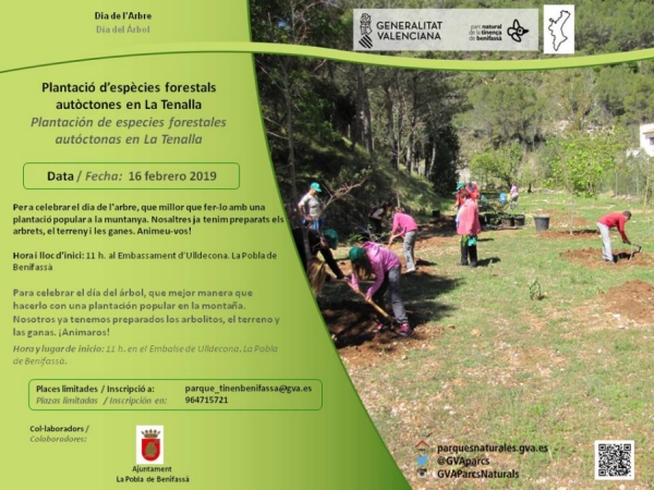 Plantaci despcies forestals autctones en la Tenalla