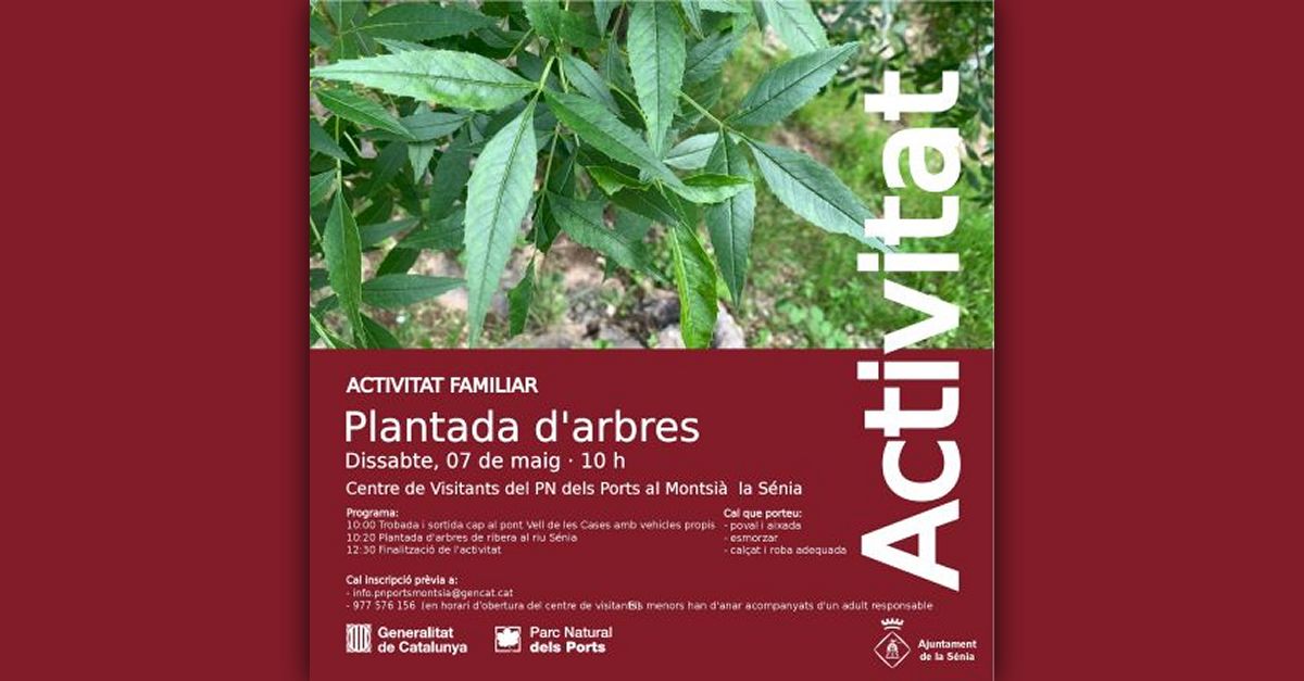 Plantada darbres