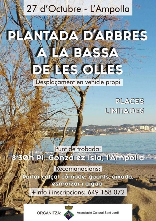 Plantada d’arbres a la Bassa de les Olles