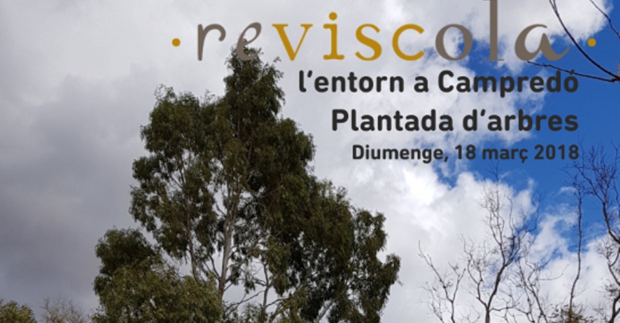 Resviscolem lentorn. Plantada de rboles