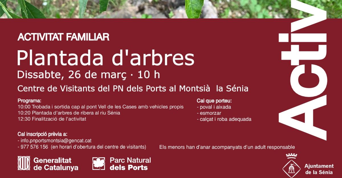 Plantada darbres de ribera al riu Snia