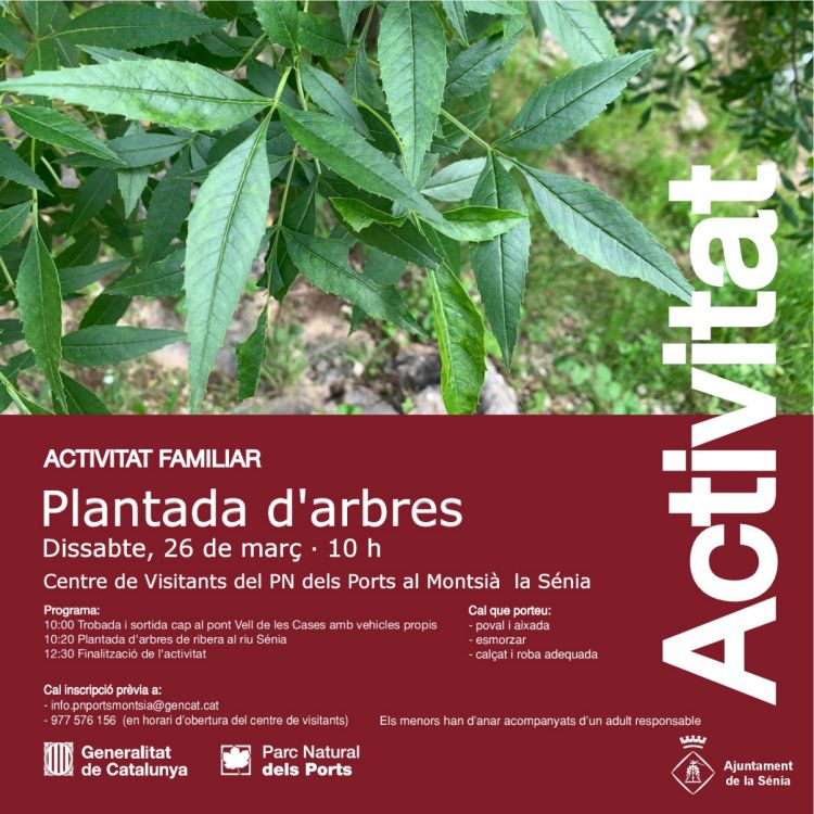 Plantada darbres de ribera al riu Snia