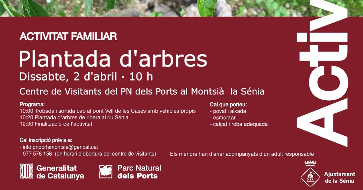 Activitat familiar: Plantada darbres