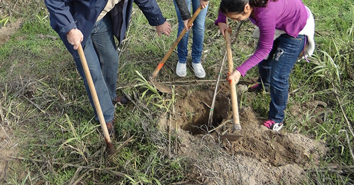 Plantem aromtiques i construm un hotel dinsectes