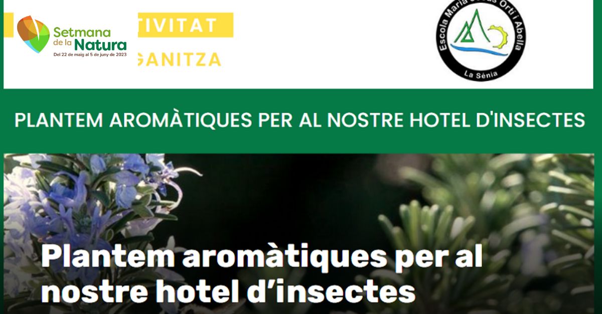 Setmana de la Natura: Plantemos aromticas para nuestro hotel de insectos