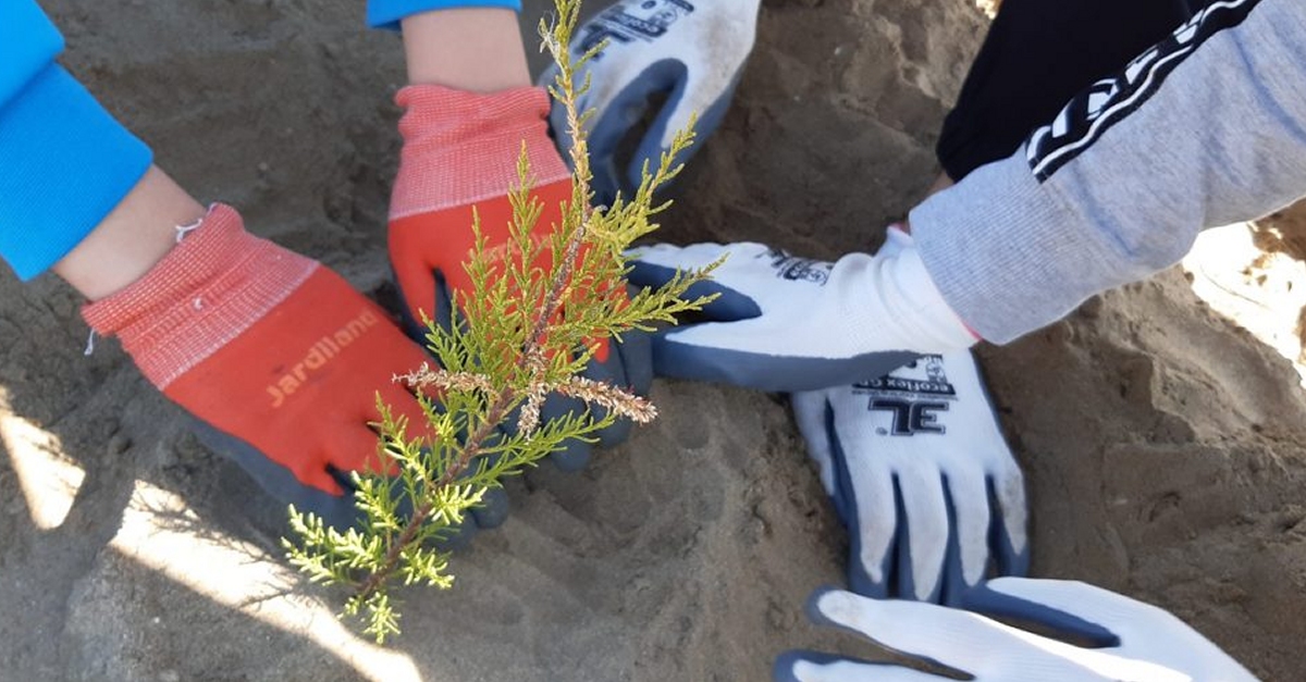 Voluntaris del GEPEC-Edc planten tamarius entre la bassa de les Olles i el Goler | EbreActiu.cat, revista digital d’oci actiu | Terres de l’Ebre ...