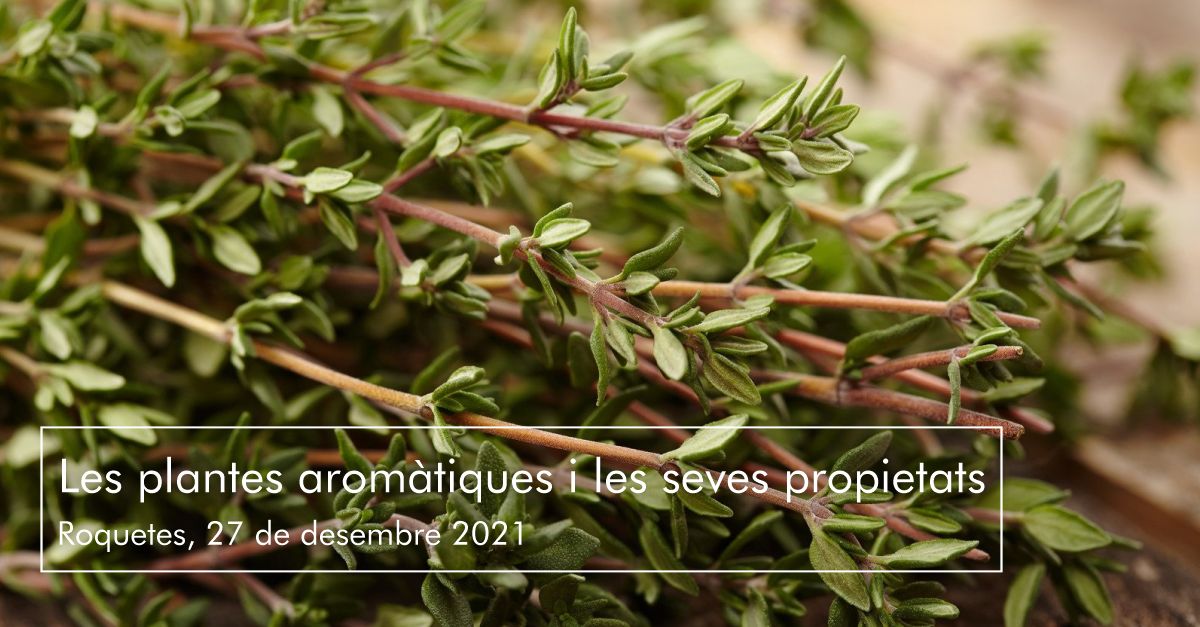 Les plantes aromtiques i les seves propietats