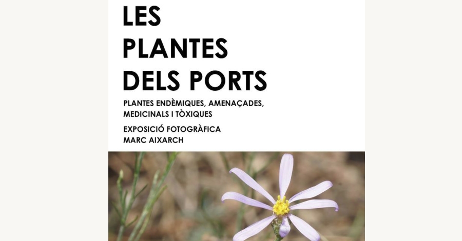 Exposici fotogrfica: Les plantes dels Ports