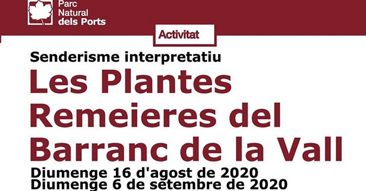 Sederisme interpretatiu: Les plantes remeieres del Barranc de la Vall