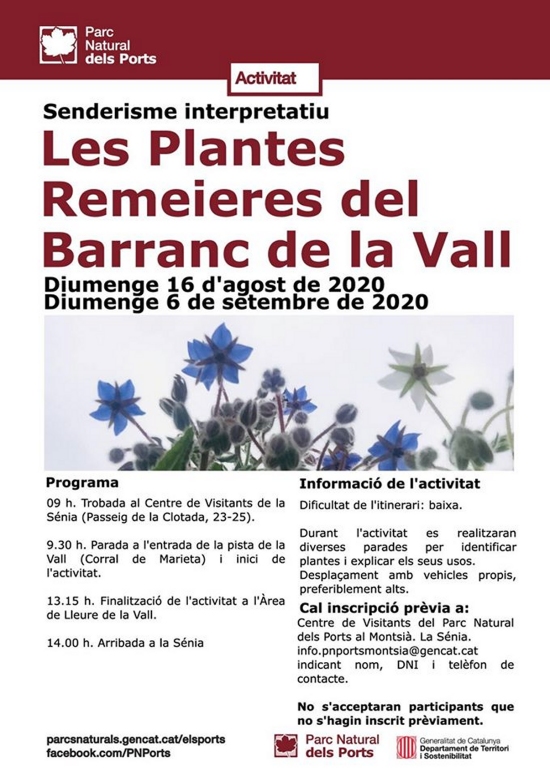 Sederisme interpretatiu: Les plantes remeieres del Barranc de la Vall