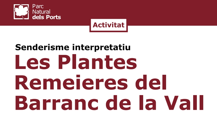 Les plantes remeires del Barranc de la Vall