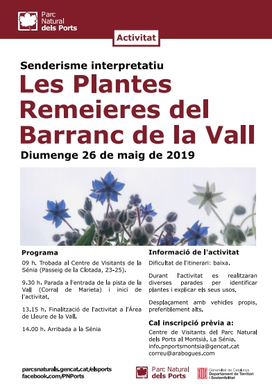 Les plantes remeires del Barranc de la Vall