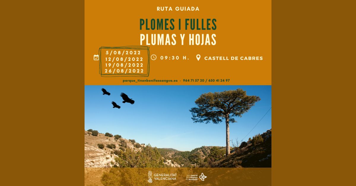 Ruta guiada Plumas y hojas