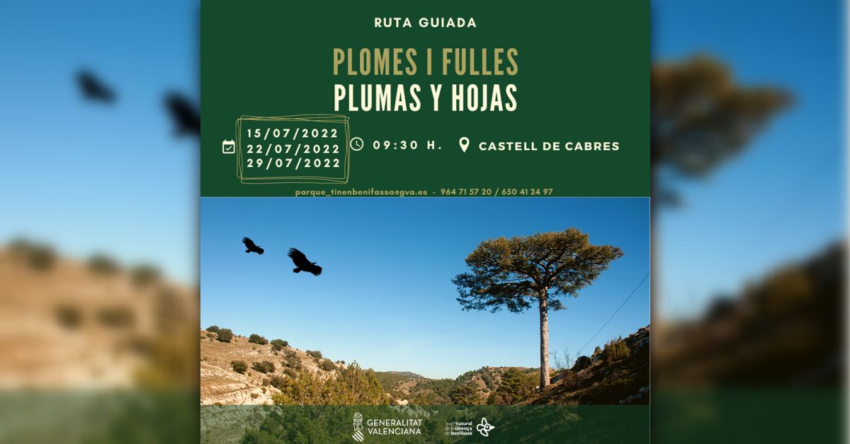 Ruta guiada Plumas y hojas