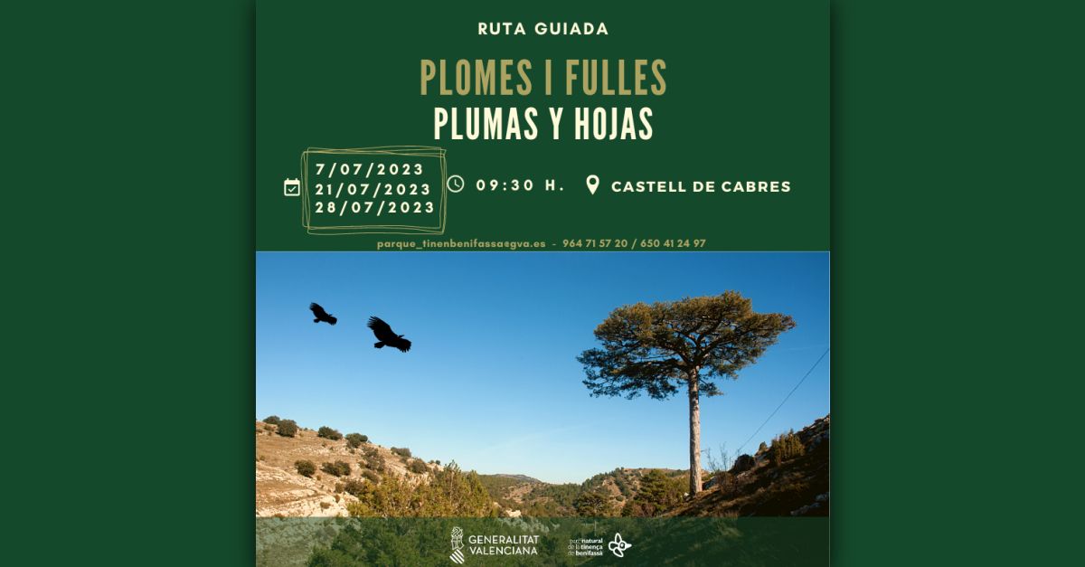 Ruta guiada Plumas y hojas en la Tinena de Benifass