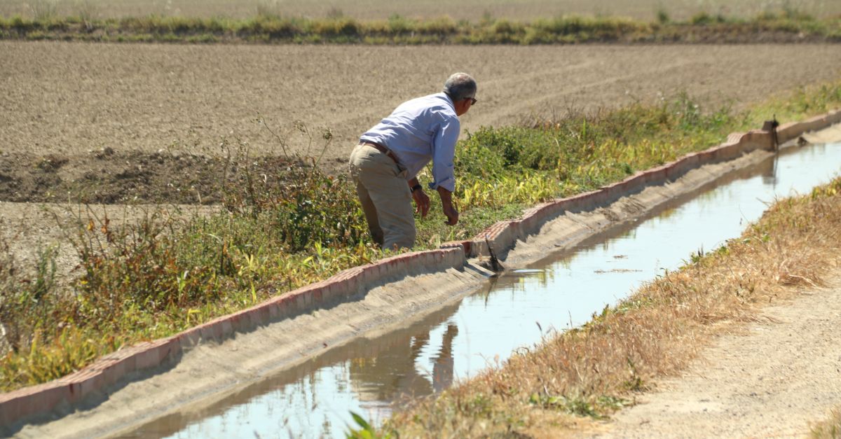 Les pluges de primavera retarden la inundaci de camps d’arrs al delta de l’Ebre | EbreActiu.cat, revista digital d’oci actiu | Terres de l’Ebre ...