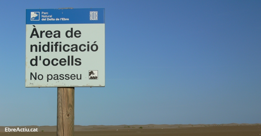 El Parc Natural del Delta de l’Ebre delimita les rees de nidificaci d’ocells marins i litorals | EbreActiu.cat, revista digital d’oci actiu | Terres de l’Ebre ...