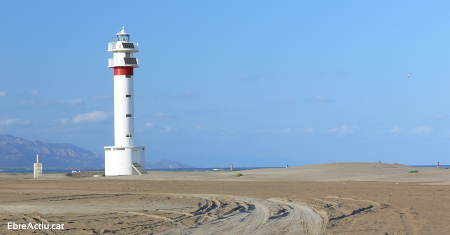 El Parc Natural del Delta de l’Ebre delimita les rees de nidificaci d’ocells marins i litorals | EbreActiu.cat, revista digital d’oci actiu | Terres de l’Ebre ...