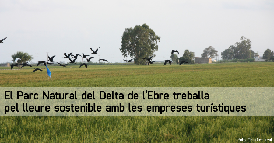 El Parc Natural del Delta de l’Ebre treballa pel lleure sostenible amb les empreses turstiques | EbreActiu.cat, revista digital d’oci actiu | Terres de l’Ebre ...