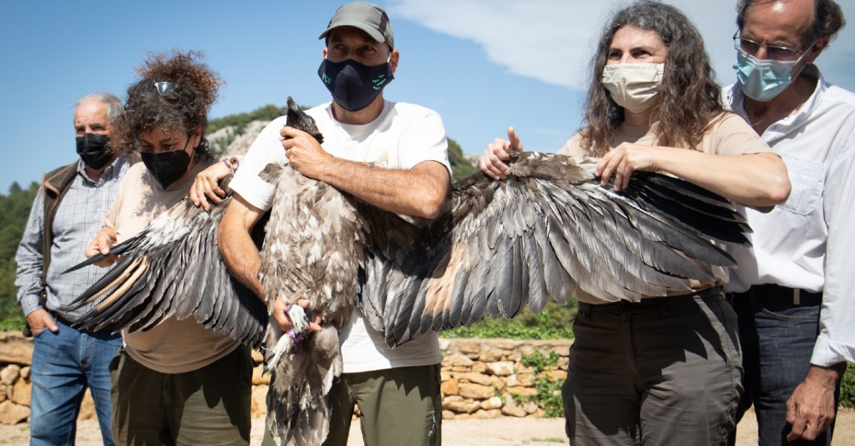 El parc natural de la Tinena de Benifass rep tres noves cries de trencals | EbreActiu.cat, revista digital d’oci actiu | Terres de l’Ebre ...