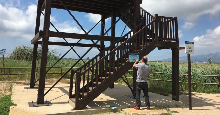 El Parc Natural del Delta de l’Ebre delimita les rees de nidificaci d’ocells marins | EbreActiu.cat, revista digital d’oci actiu | Terres de l’Ebre ...