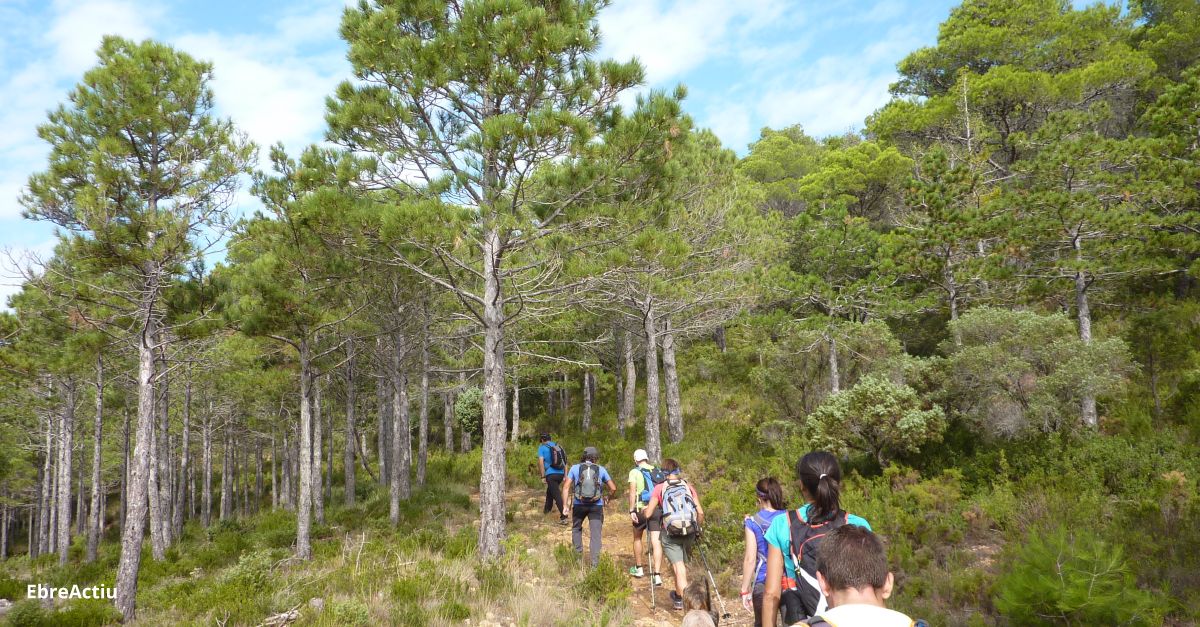 El Parc Natural del Ports presenta el nou Pla estratgic d’educaci i voluntariat ambiental | EbreActiu.cat, revista digital d’oci actiu | Terres de l’Ebre ...